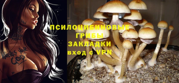 каннабис Алексин