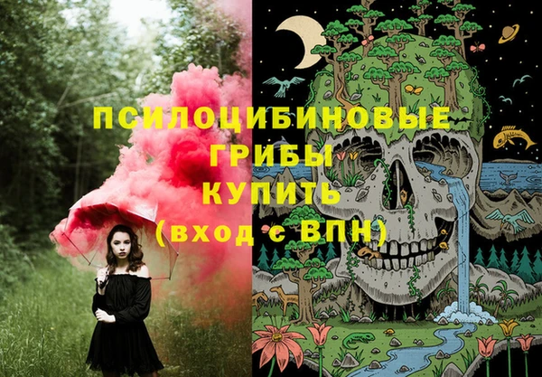 ГАЛЛЮЦИНОГЕННЫЕ ГРИБЫ Алзамай
