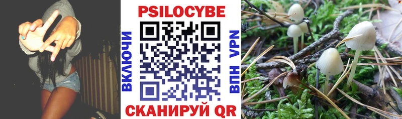 Галлюциногенные грибы прущие грибы  купить  цена  Кимры 