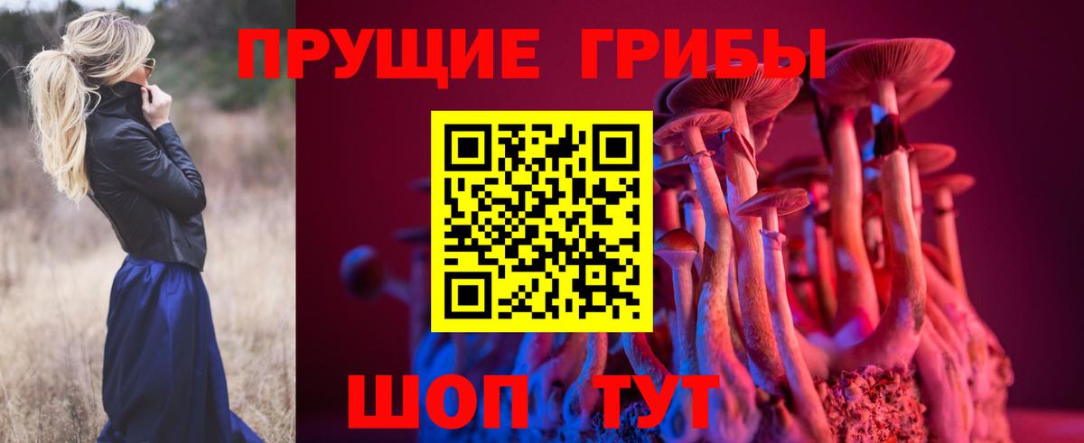 Кимры  Галлюциногенные грибы GOLDEN TEACHER  Вход с VPN  Псилоцибиновые грибы MAGIC MUSHROOMS 